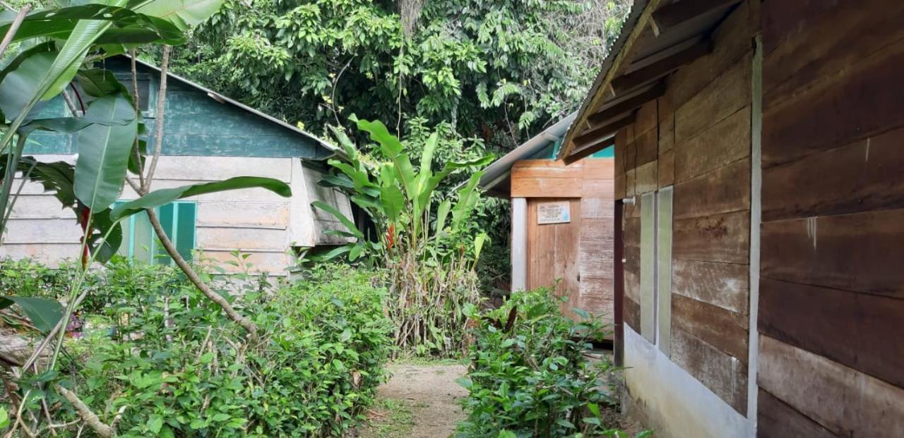 Centro Ecoturistico Ya'Ajche Hotel Lacanja Exterior photo